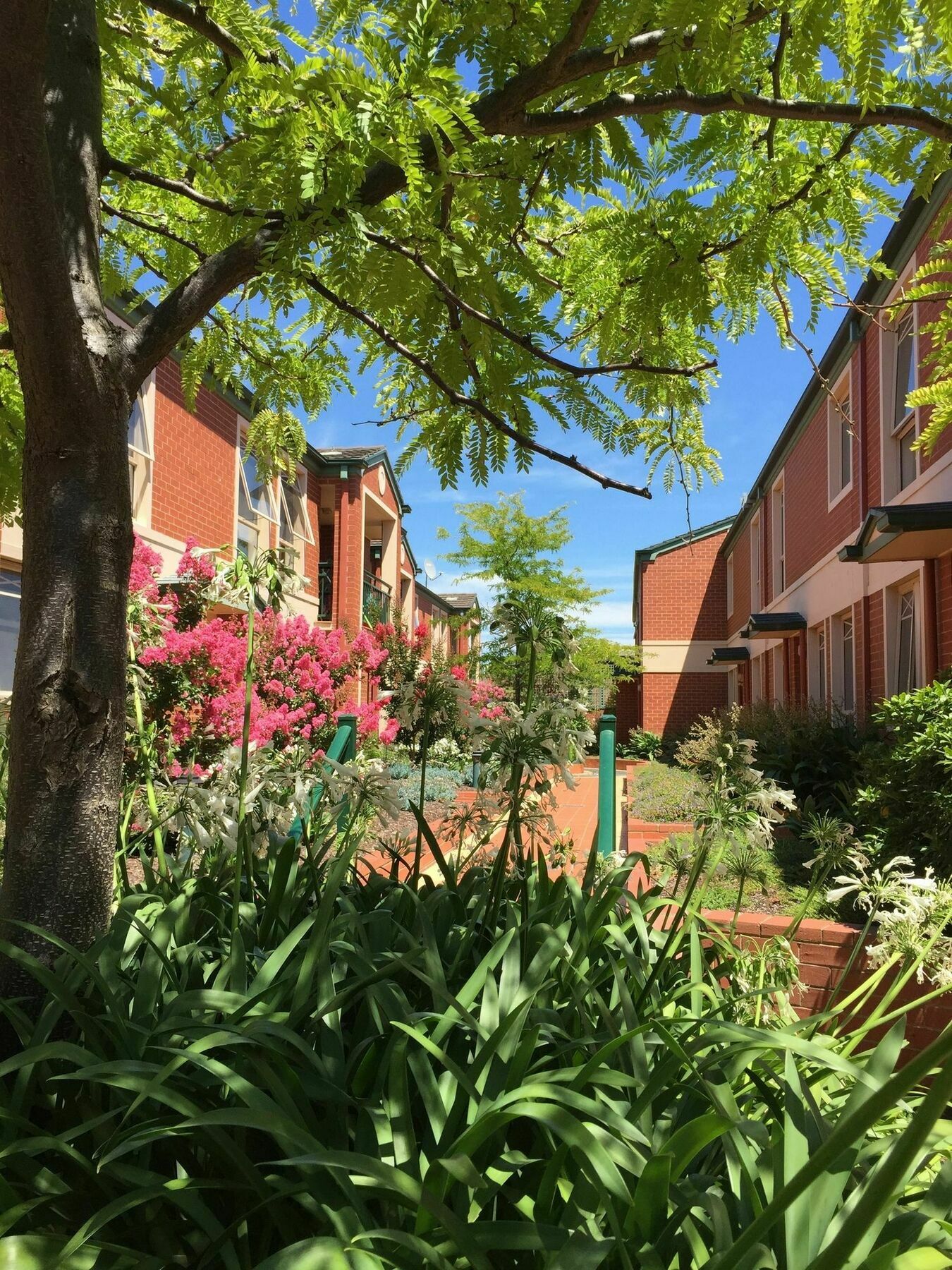 Box Hill Studio Apartment 2 Εξωτερικό φωτογραφία